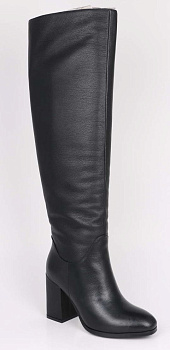 Сапоги Dino Ricci 251-02-01 (35)