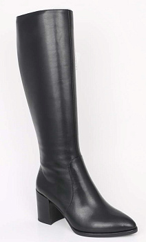 Сапоги Dino Ricci 210-343-01 (38)